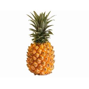 ANANAS EXTRA I MATUR.IN PIANTA OR.COSTARICA (al...