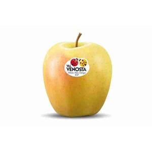 MELA GOLDEN DELICIOUS VALVENOSTA PADELLA (al kg)