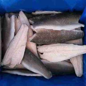 BRANZINO FILETTO 160/200 C/PELLE 5 KG