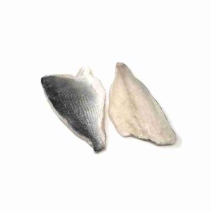 ORATA FILETTO 160/200 C/PELLE 5 KG