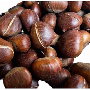 CASTAGNE DEL PRETE IN GUSCIO GRANDI 400 GR