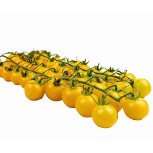 POMODORO CILIEGINO GIALLO (al kg)
