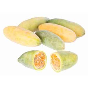 CURUBA OR.ECUADOR AL PEZZO