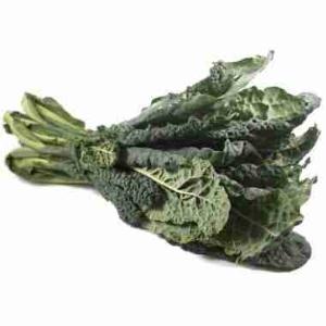 CAVOLO NERO