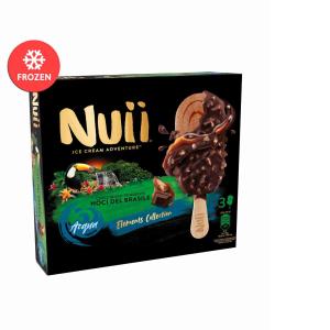 GELATO STECCO CIOCC.FONDENTE NOCI BRASILE NUII 207
