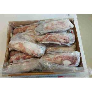 CALAMARO INT.MAROCCO P 21/26CM (al kg)