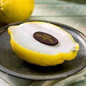 GELATO SORBETTO LIMONE ANTICA GELATERIA DEL CORSO