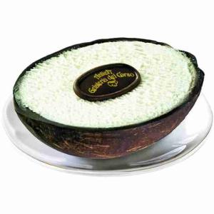GELATO AL COCCO ANTICA GELATERIA DEL CORSO 80 GR